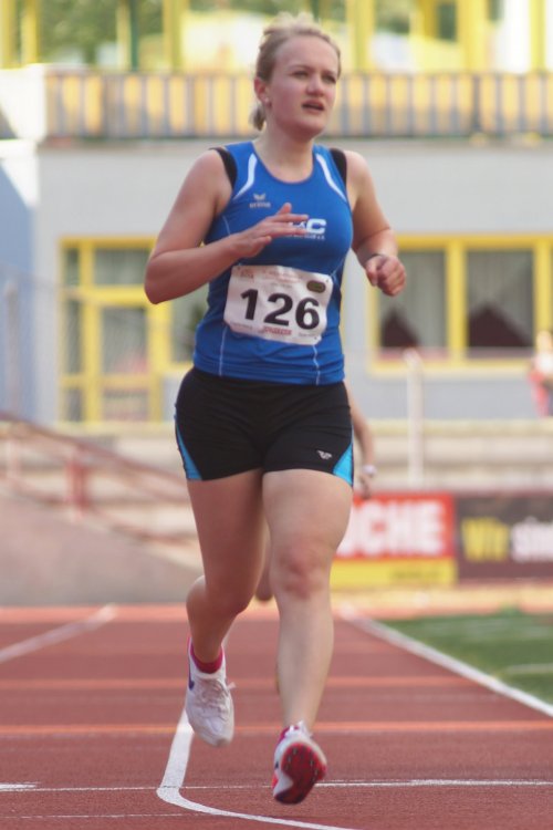 2014/800/70_7455.jpg